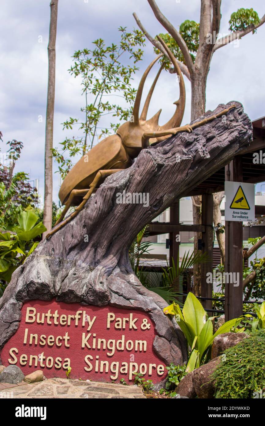 Singapur 21. Dez 2020: Der Eingang zum Schmetterlingspark und einfügen Kingdom Sentosa. In einem Regenwald, frei fliegende Schmetterlinge und Insekten Ausstellung Stockfoto
