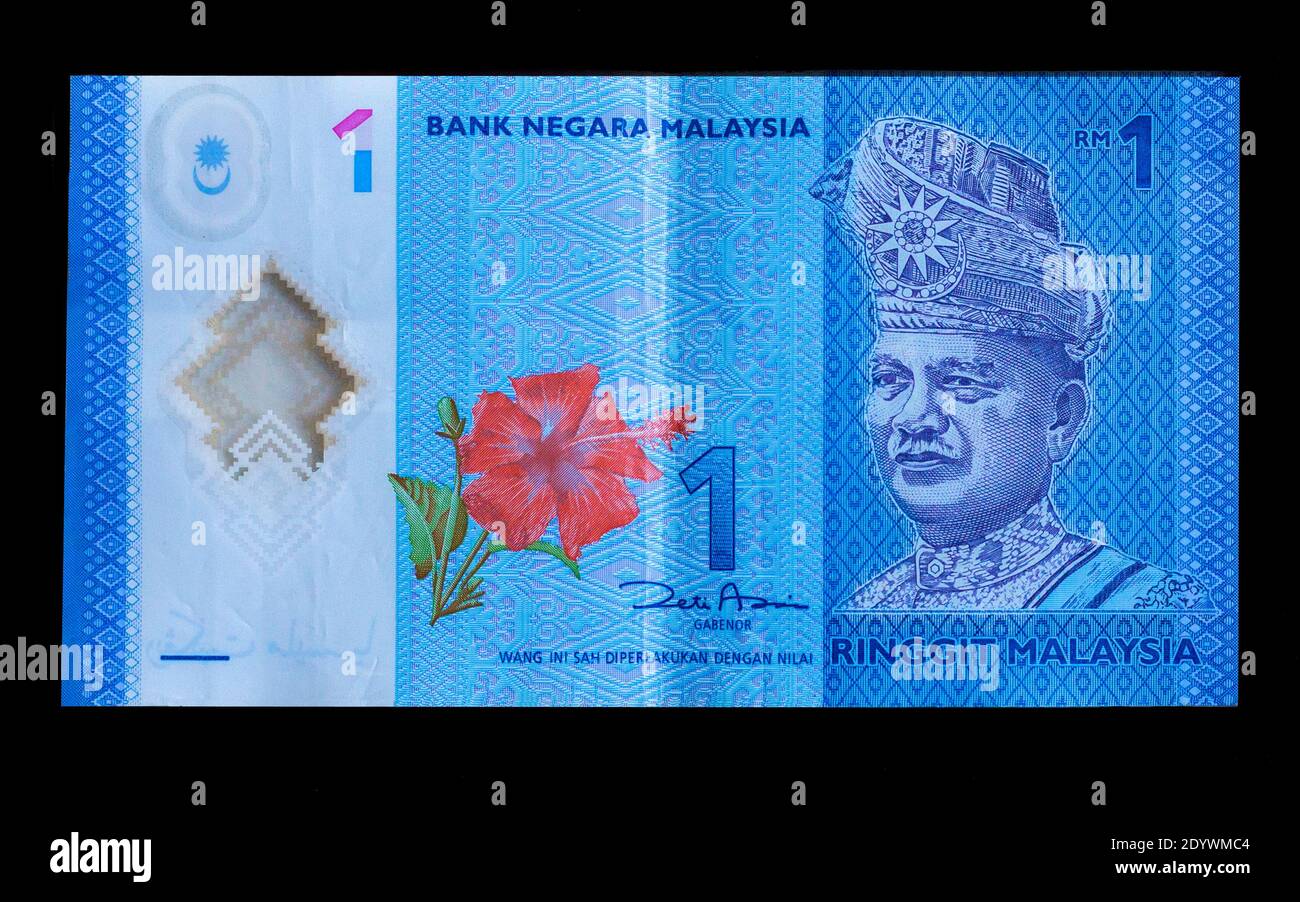 Malaysische Eine Ringgit Banknote, Ausgestellt Am 2012. Tunku Abdul Rahman und Hiboscus vorne. Stockfoto