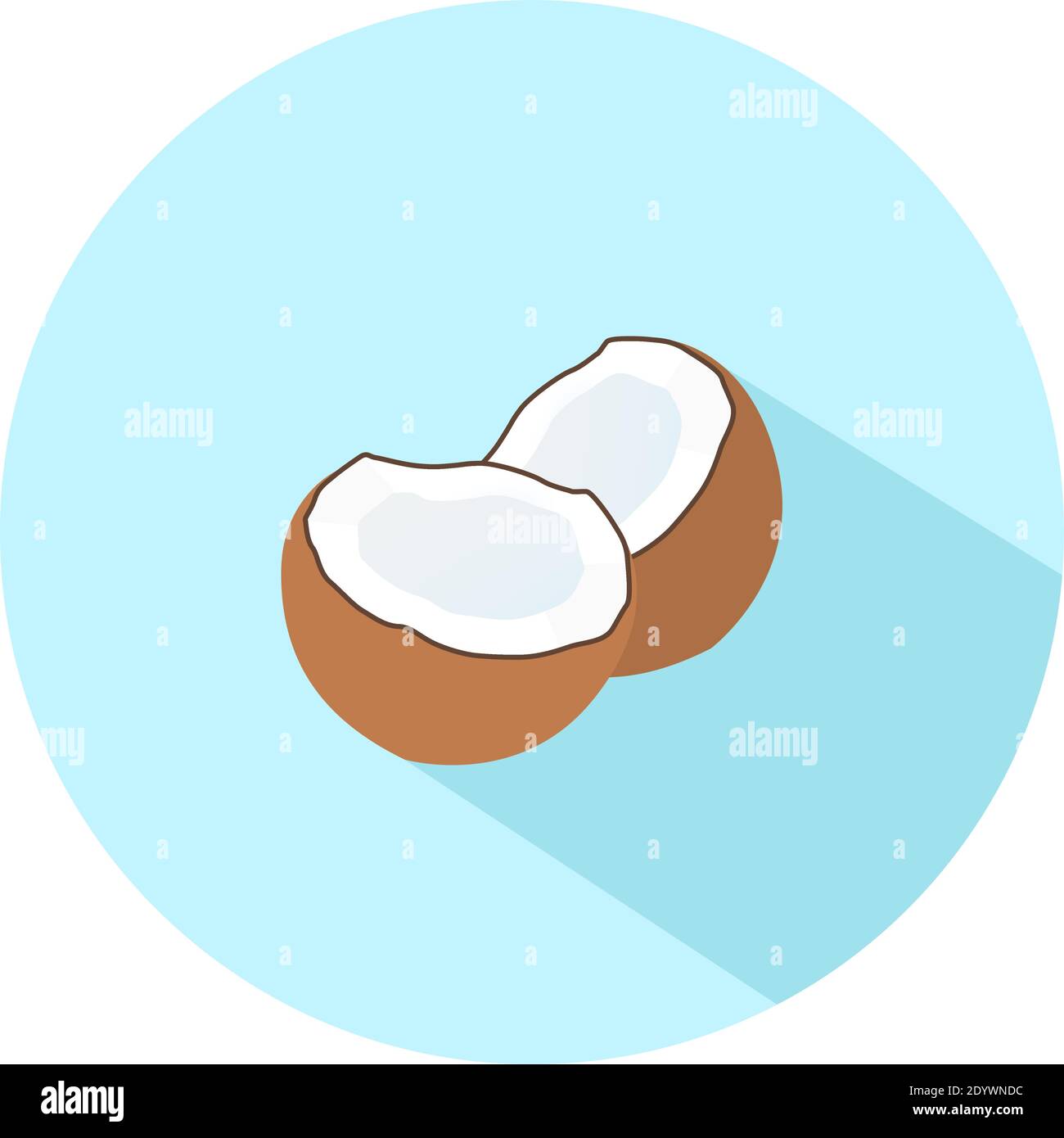 Kokosnuss in der Mitte, Illustration, Vektor auf weißem Hintergrund. Stock Vektor