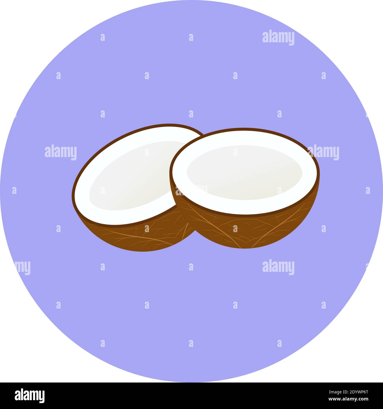 Kleine Kokosnuss, Illustration, Vektor auf weißem Hintergrund. Stock Vektor