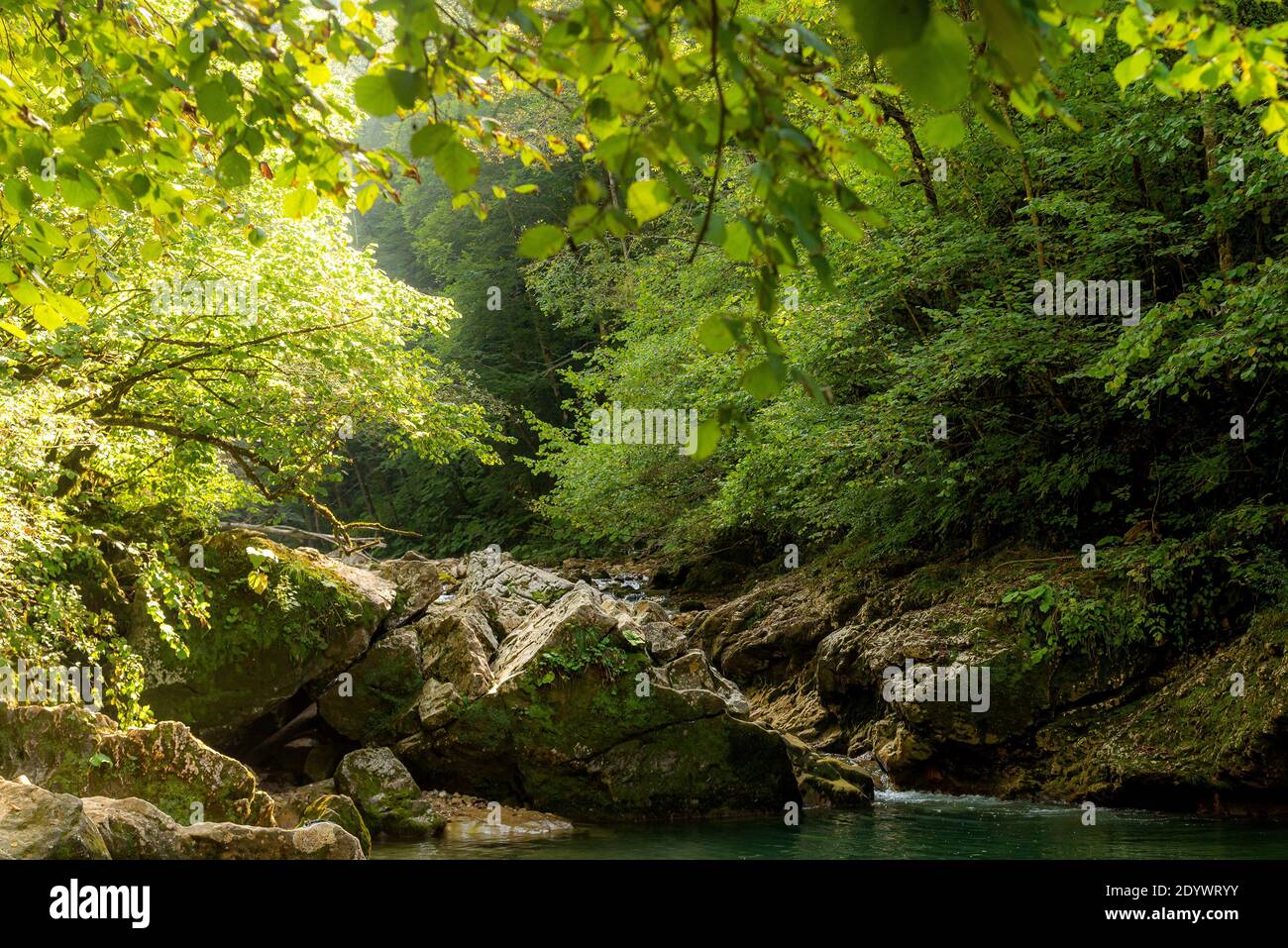 Gebirgsfluss im Wald. Wasser auf den Steinen. Stockfoto