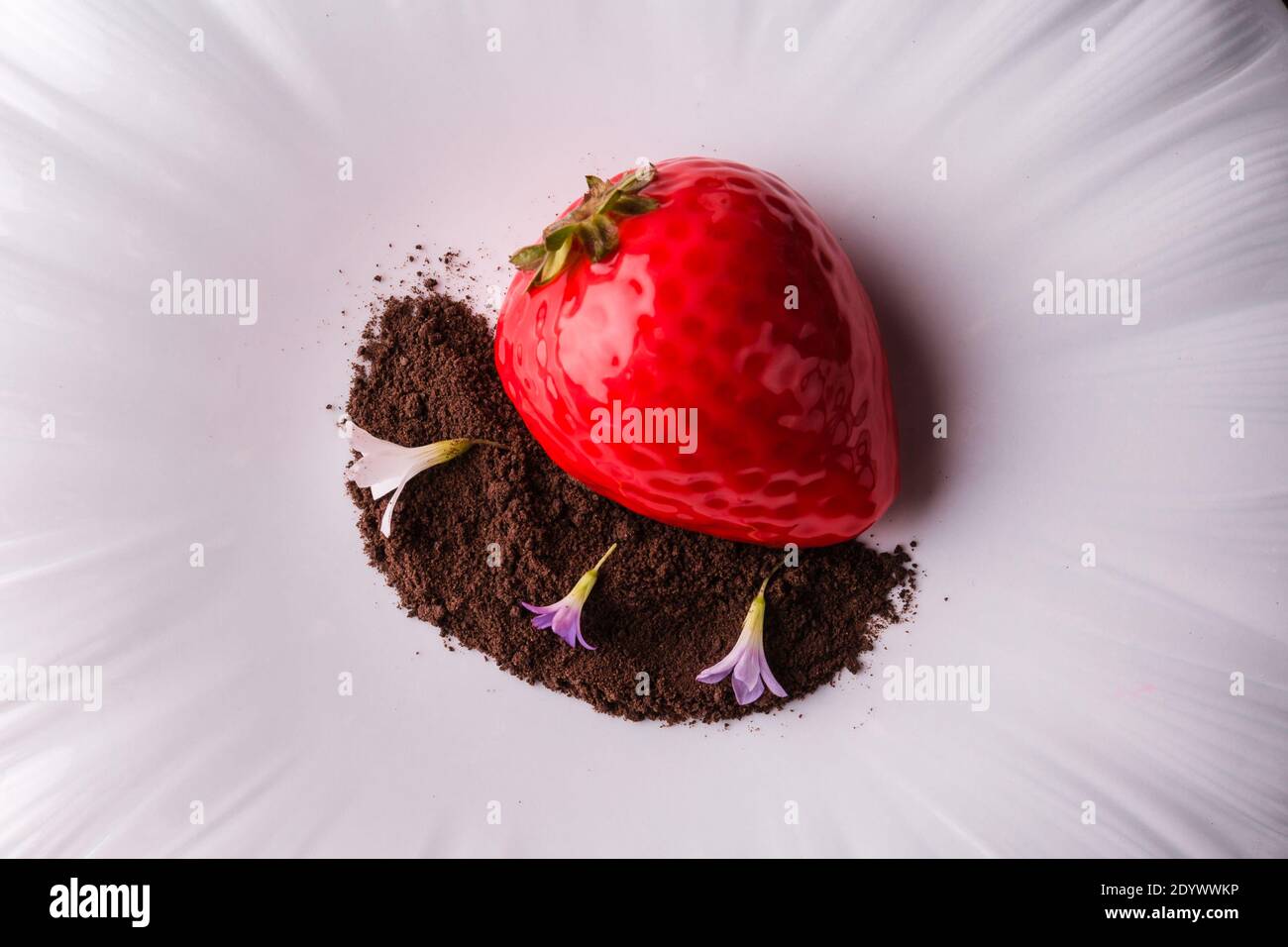 Rote Erdbeere Dessertkuchen mit Schokoladenstückchen und Veilchen auf einem großen weißen Teller. Stockfoto