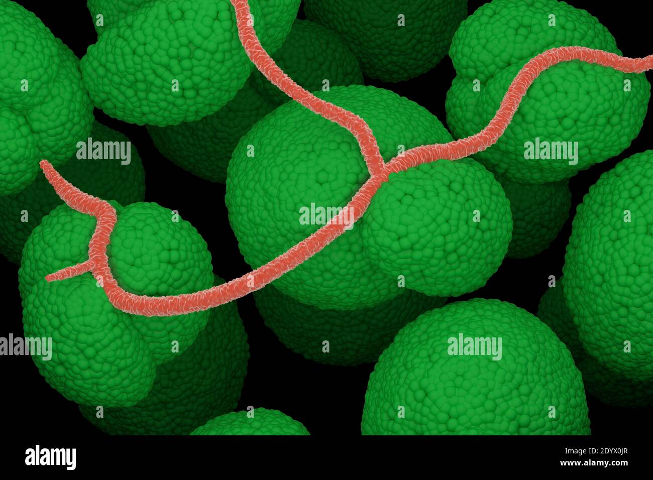 Bodenbakterien mikroskopische 3D-Illustration Nahaufnahme Stockfoto