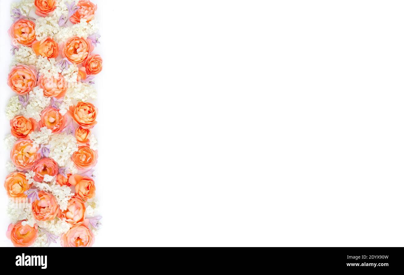 Blumenmuster Vorlage für Grußbanner. Vorlage für Valentinstag, Muttertag oder Hochzeit Anniversary Karte oder Einladung mit Kopieplatz für t Stockfoto