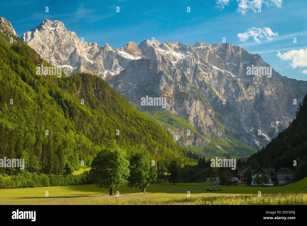 Majestätische sommerliche alpine Landschaft, grüne Wiesen und hoch verschneite Berge, Logarska dolina Tal, Kamnik Savinja Alpen, Slowenien, Europa Stockfoto