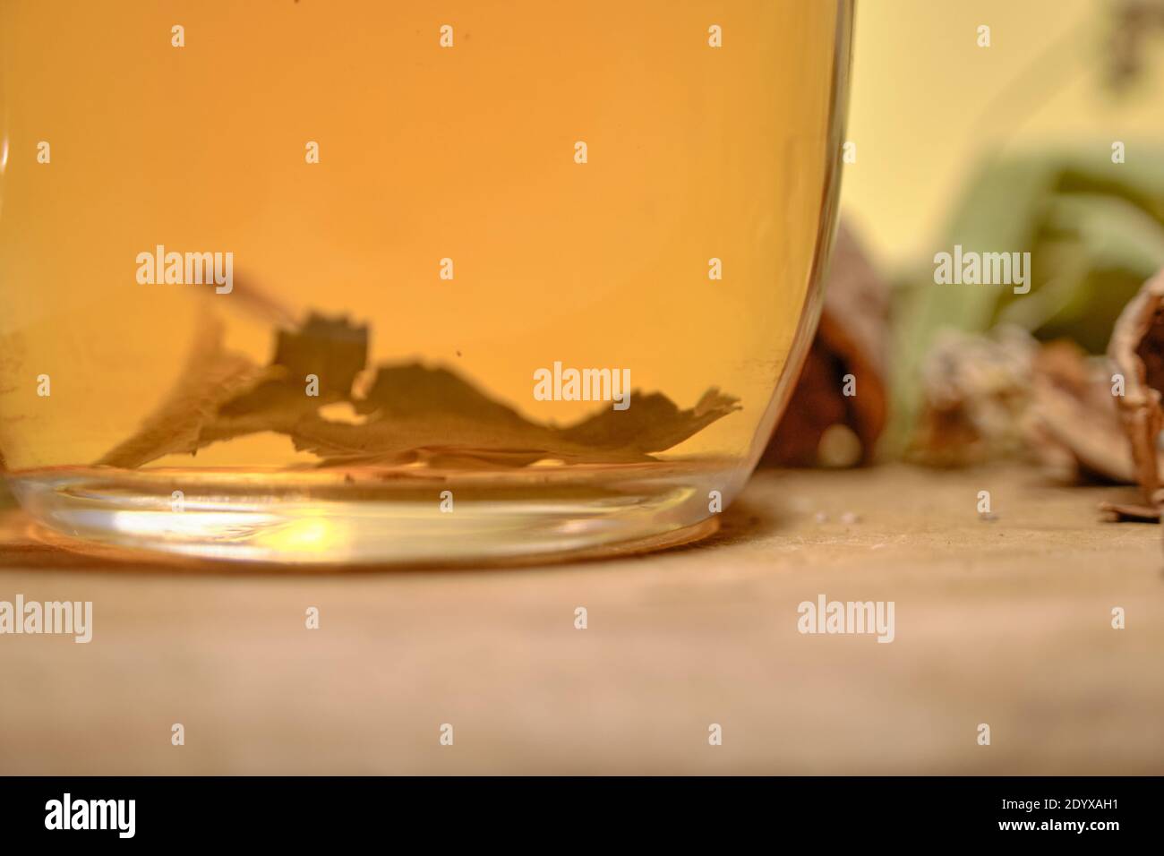 Foto von Kräuter- und Lindentee in der Glaskanne zusammen mit Lindenteeblättern und gebrochenen und nicht gebrochenen Walnüssen auf dem Holztisch. Stockfoto