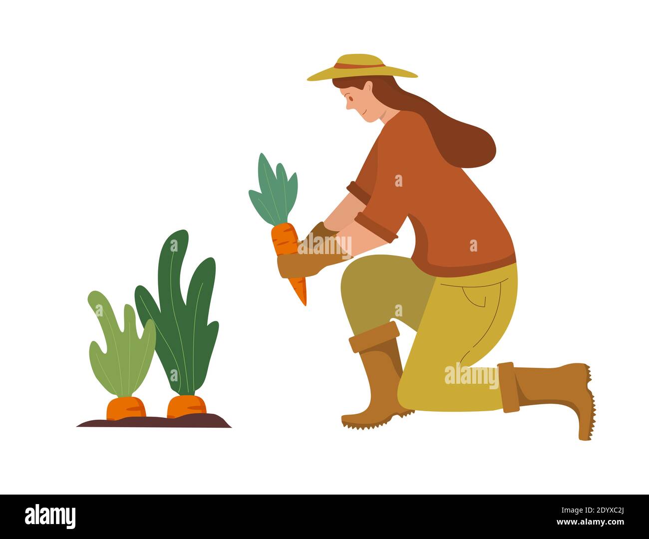 Frau wässert Pflanzen aus einer Gießkanne.Landwirtschaft Gärtner Hobby. Arbeiten im Garten. Stock Vektor