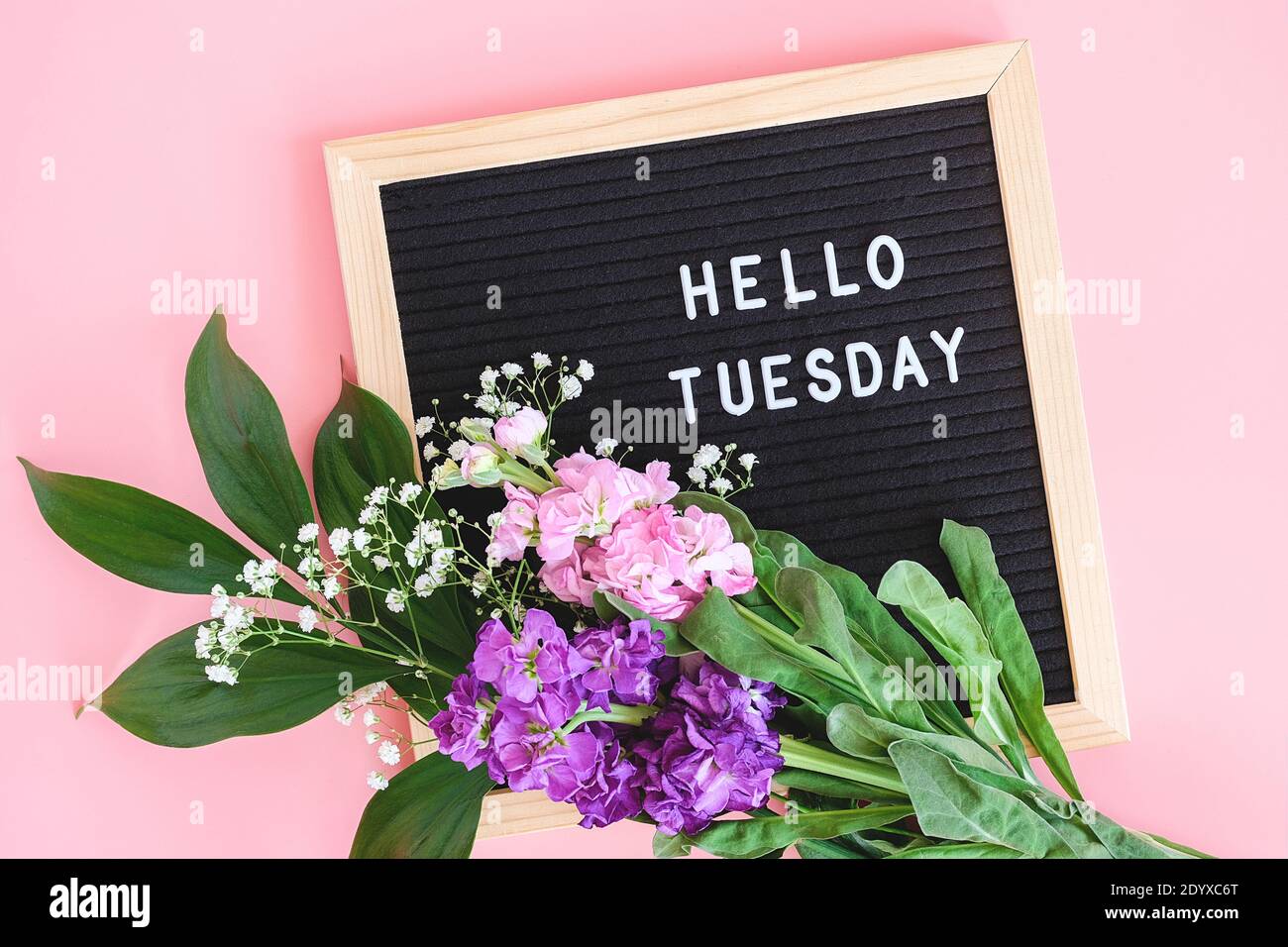 Hallo Dienstag Text auf schwarzem Briefbrett und Blumenstrauß bunte Blumen auf rosa Hintergrund. Konzept Happy Tuesday. Vorlage für Postkarte, Grußkarte Stockfoto