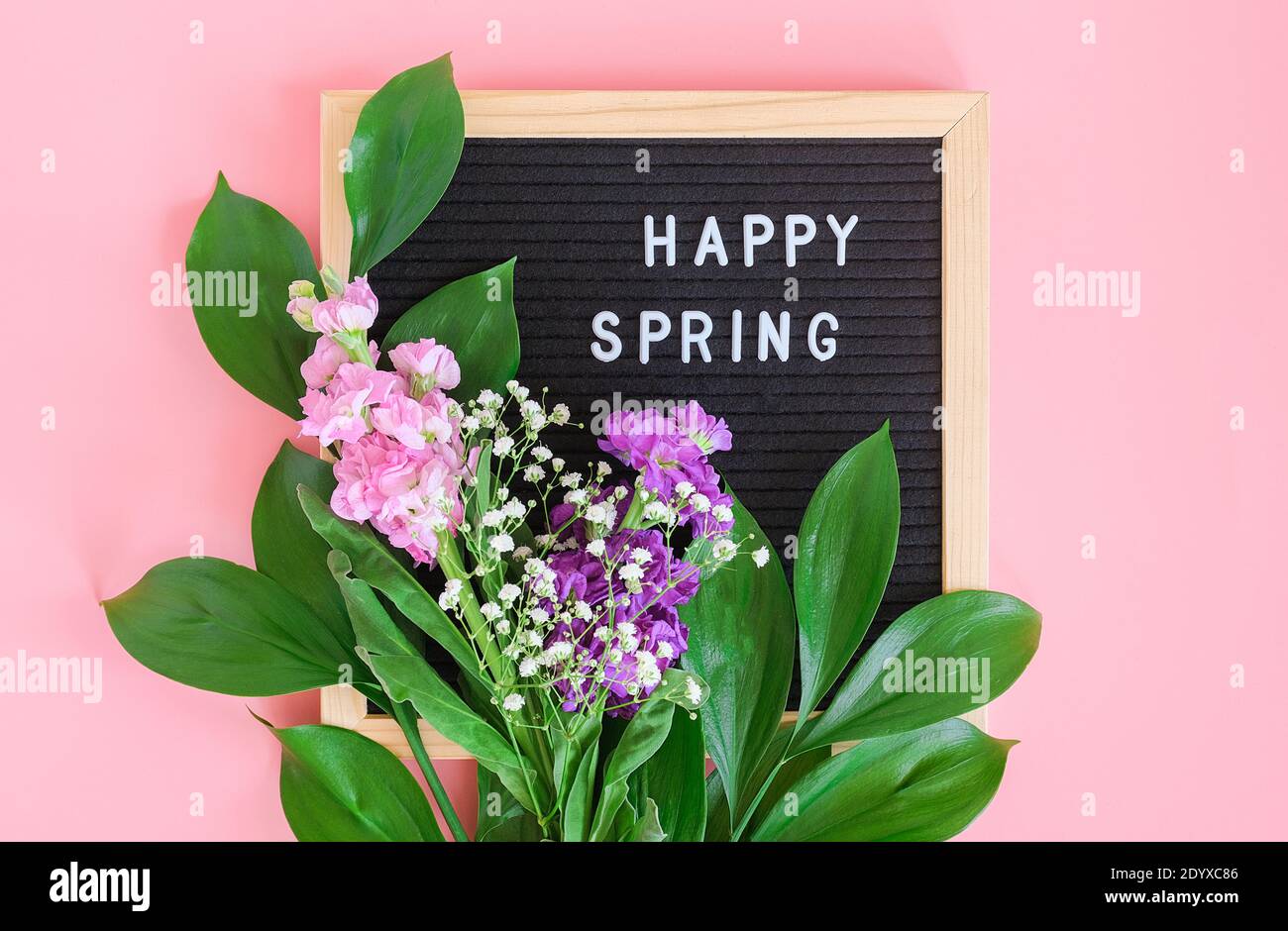 Happy Spring Text auf schwarzem Briefbrett und Blumenstrauß auf rosa Hintergrund. Konzept Hallo Frühling, Frühling. Vorlage für Postkarte, Gruß c Stockfoto