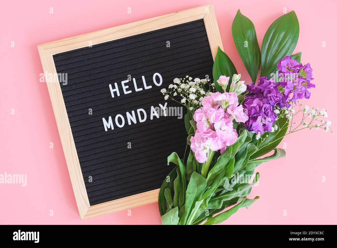 Hallo Montag Text auf schwarzem Briefbrett und Blumenstrauß bunte Blumen auf rosa Hintergrund. Konzept Happy Monday. Vorlage für Postkarte, Grußkarte FL Stockfoto