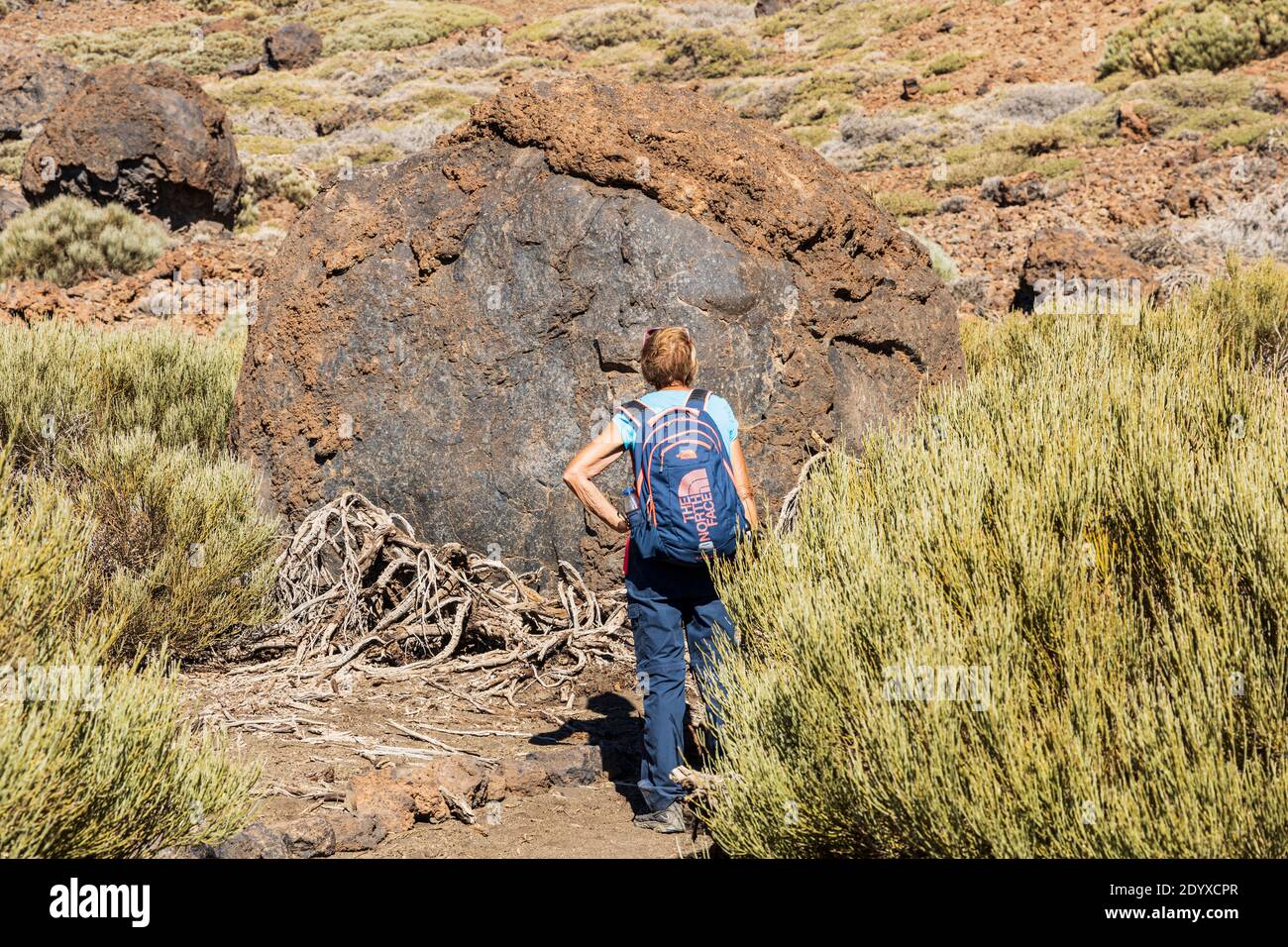 Teides Eier, vulkanische Gesteine, die über die geschmolzenen Lava sammeln Schichten Rollen und jetzt ruhen neben dem Pfad zum Pico Viejo im Nationalpark, Las C Stockfoto