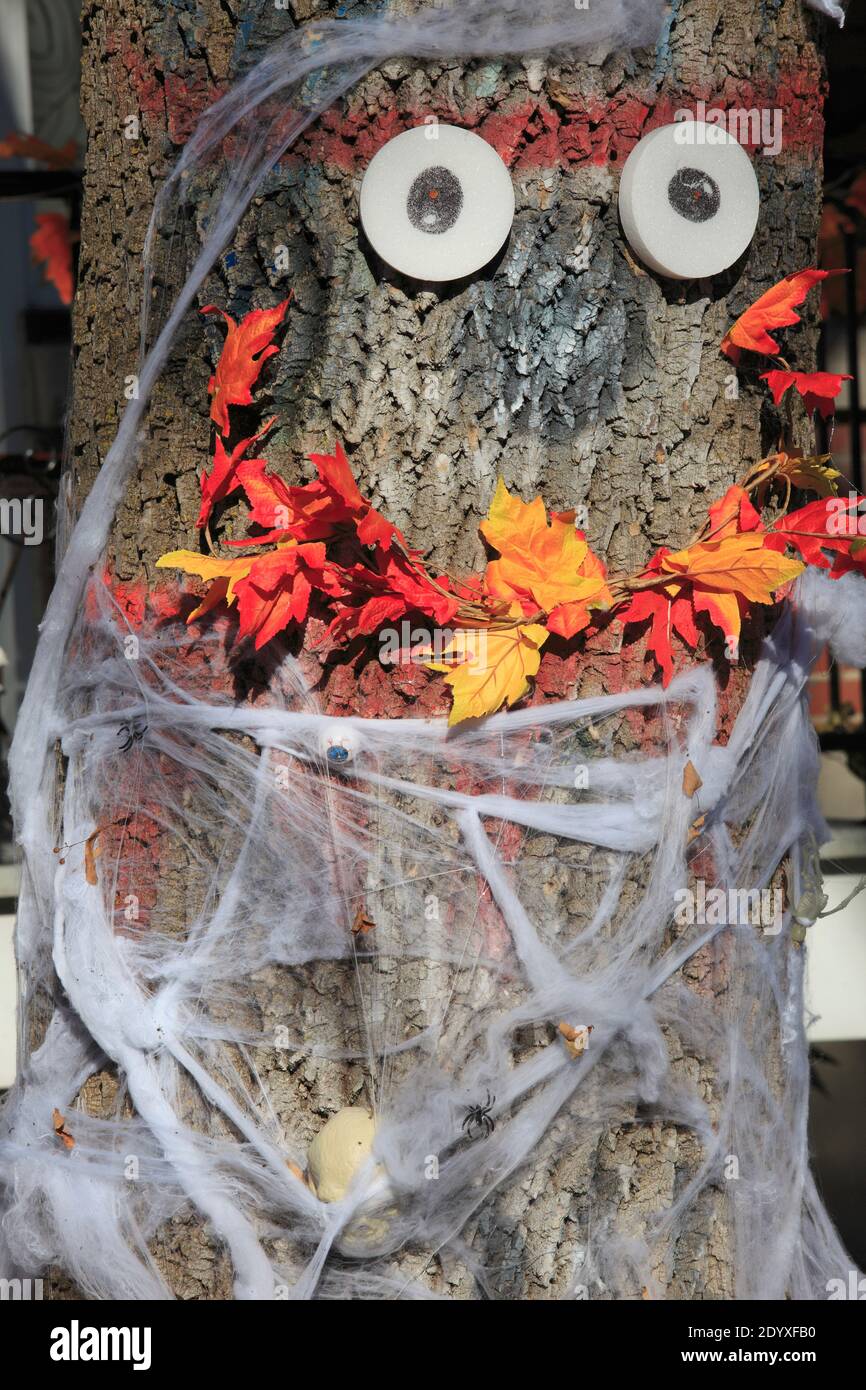 Halloween, Dekoration, Stockfoto