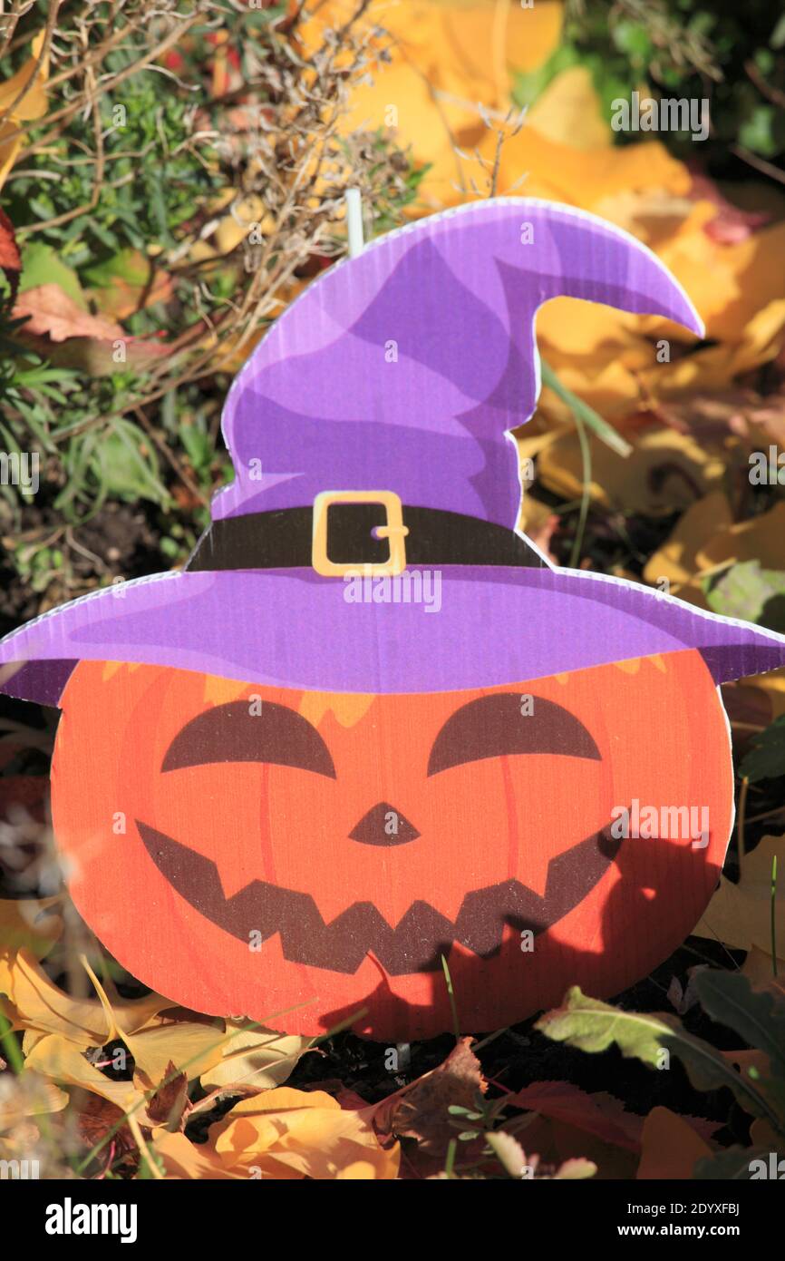 Halloween, Dekoration, Stockfoto