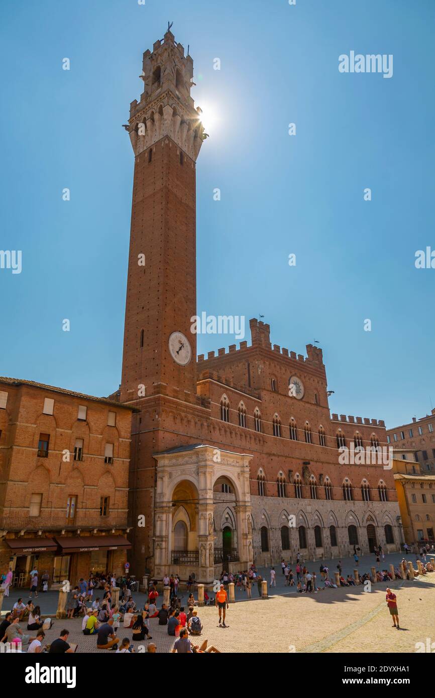 Blick auf Piazza del Campo mit Palazzo Comunale, Siena, Toskana, Italien, Europa Stockfoto