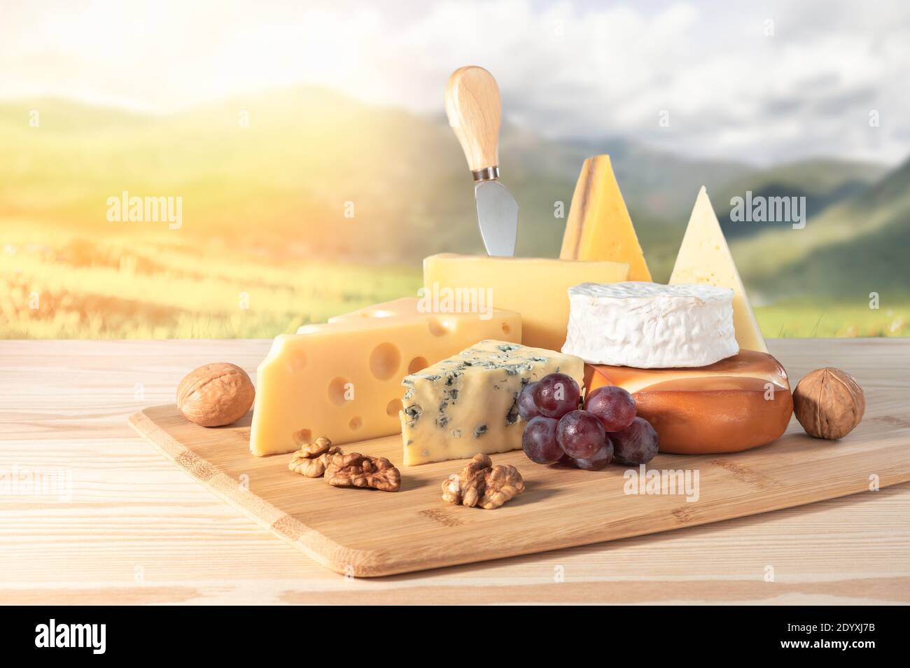 Zusammensetzung von verschiedenen Käsesorten mit Walnüssen und Trauben auf Holzhintergrund. Blauschimmelkäse Dorblin, geräucherte Suluguni, Brie, Maasdam, Cheddar, Pa Stockfoto