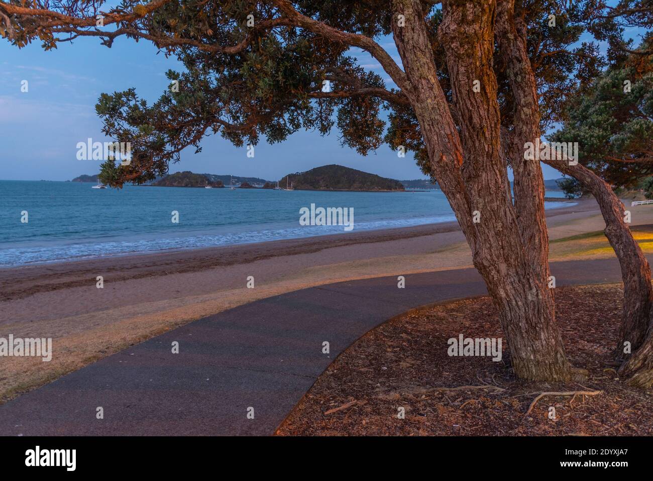 Sonnenuntergang Blick auf einen Strand in Paihia, Neuseeland Stockfoto