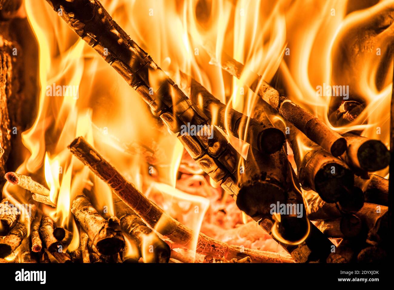 Feuer in einem Küchenofen, mit brennendem Brennholz Stockfoto