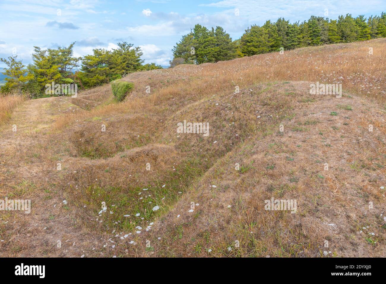 Ruapekapeka pa - Ruinen einer maori-Festung in Neu Seeland Stockfoto