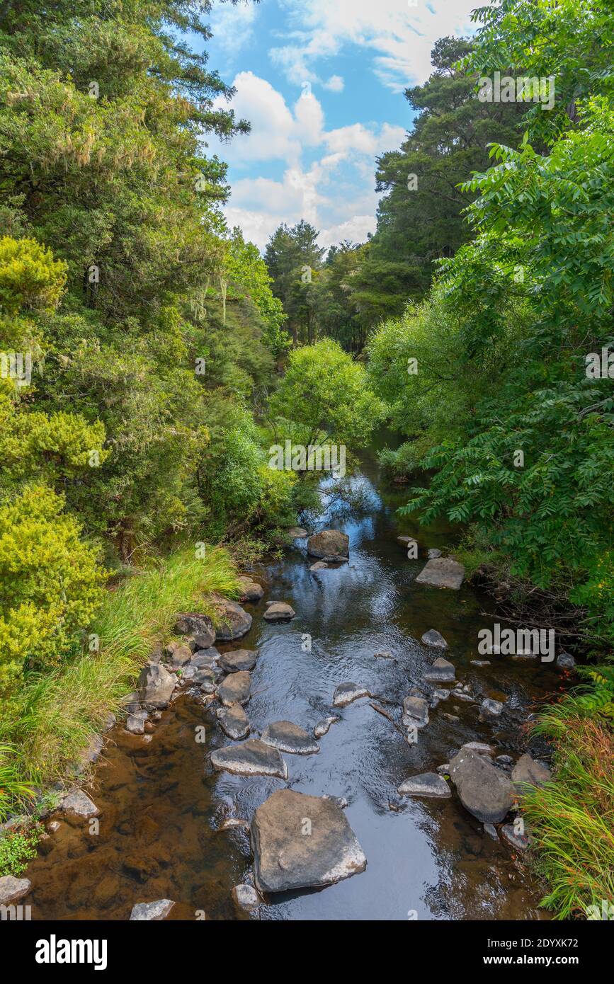 Hatea Fluss in der Nähe Whangarei fällt in Neuseeland Stockfoto