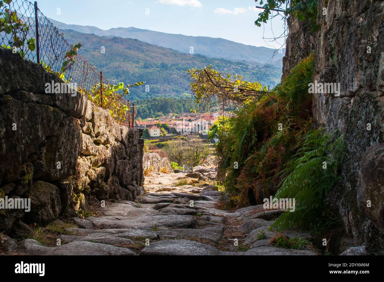 Alte Römerstraße im Norden Portugals. Stockfoto