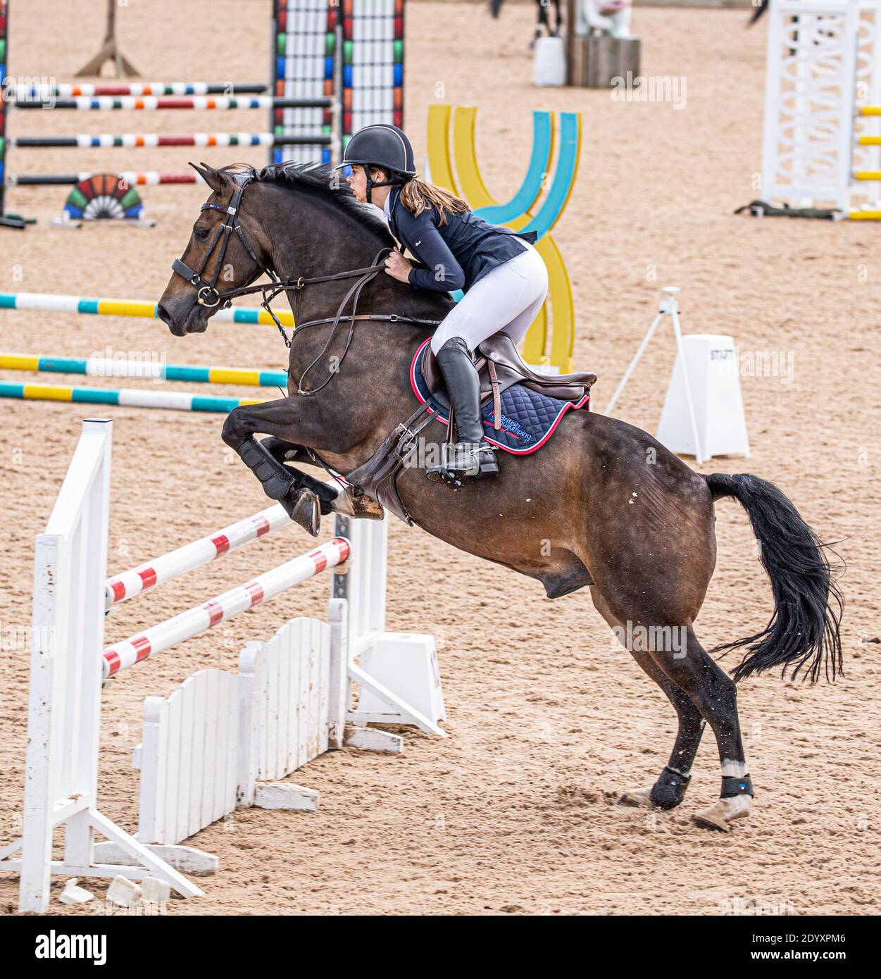 Ein Reiter auf seinem Pferd springt über einen Zaun Sie nehmen an einem lokalen Wettbewerb auf dem Land Teil Stockfoto