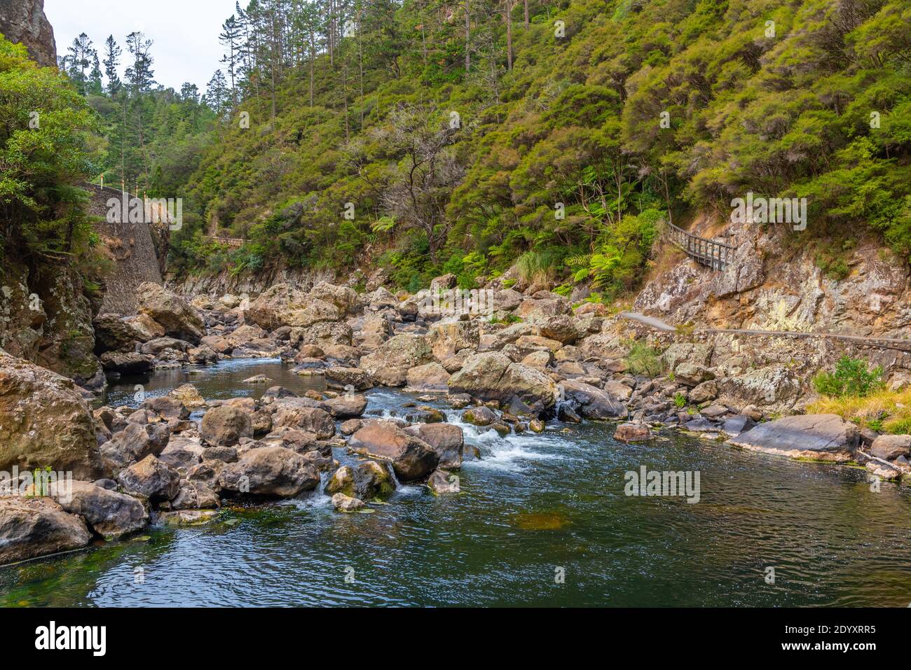 Ohinemuri Fluss in der Karangahake Schlucht in Neuseeland Stockfoto