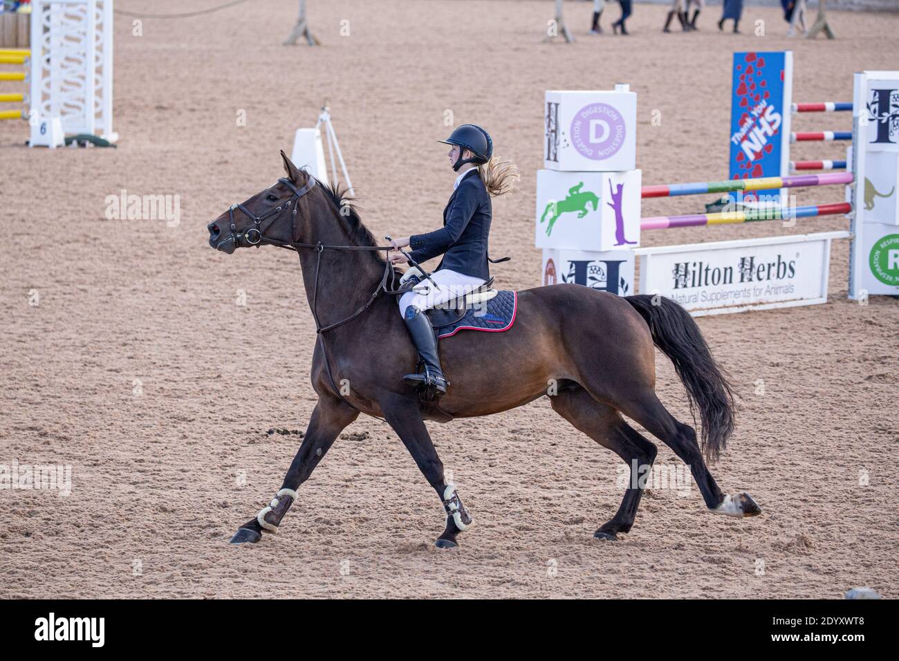 Ein Reiter auf seinem Pferd springt über einen Zaun Sie nehmen an einem lokalen Wettbewerb auf dem Land Teil Stockfoto