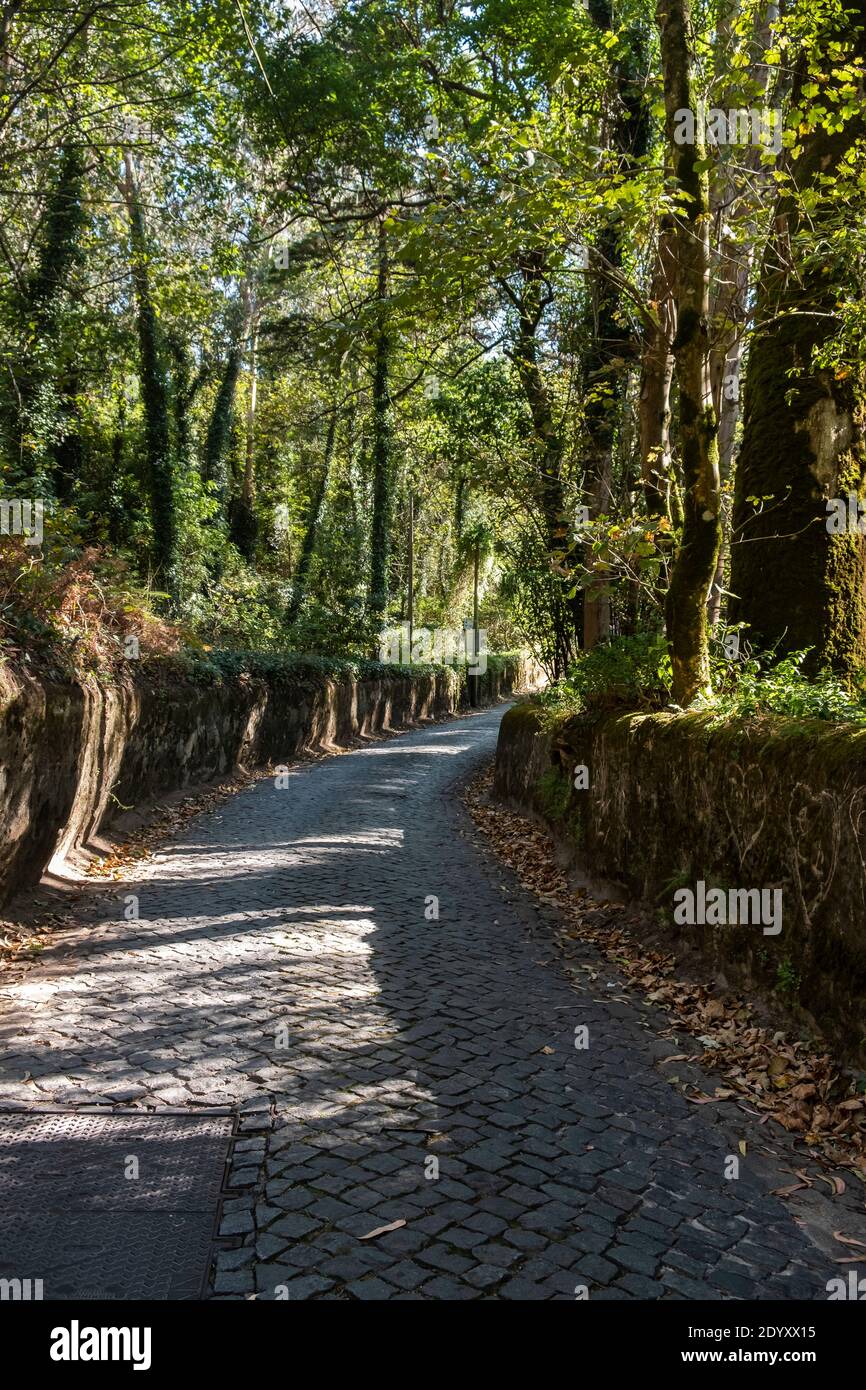 Fotos von einer Reise nach Lissabon, Sintra, Cascais, Portugal. Stockfoto