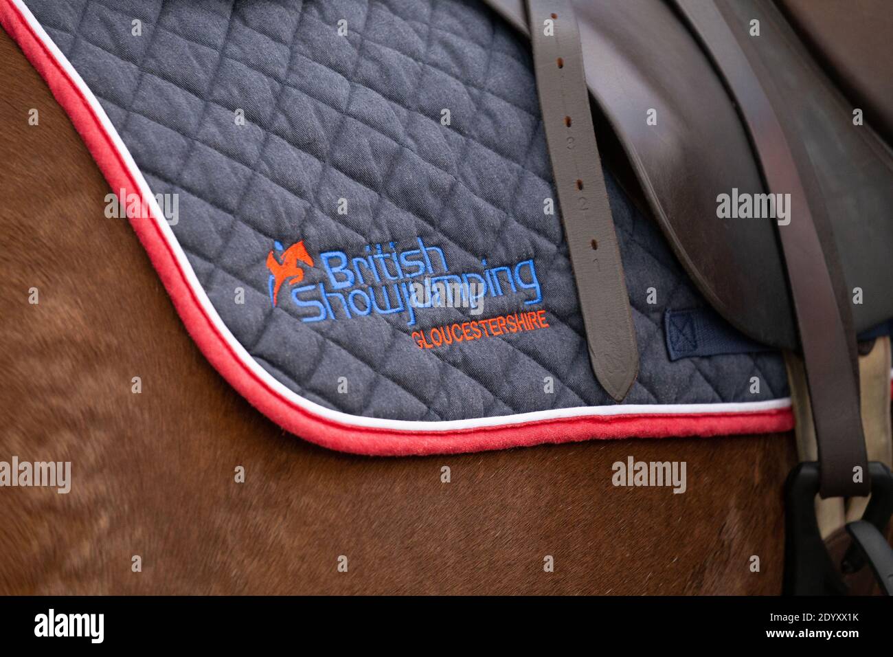 British Showjumping Lackierung auf einem Sattel Stockfoto