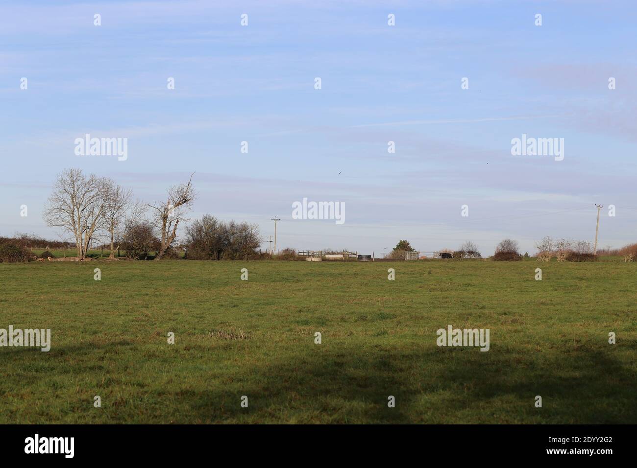 Ländliche Landschaften, aufgenommen auf einem lokalen Bauernhof neben einem öffentlichen Fußweg Winter 2020 Stockfoto