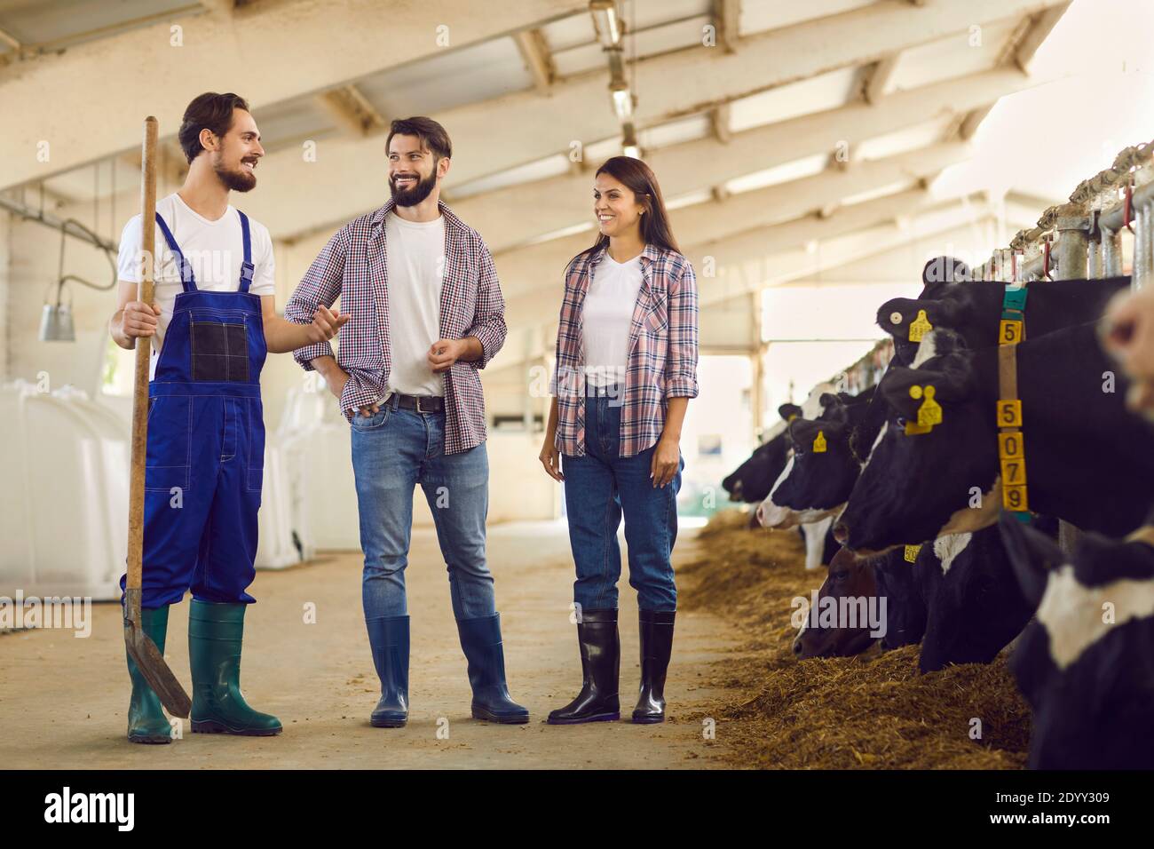Lächelnde Bauern und Stallarbeiter mit Spaten in der Hand stehen Im Kuhstall und im Gespräch Stockfoto