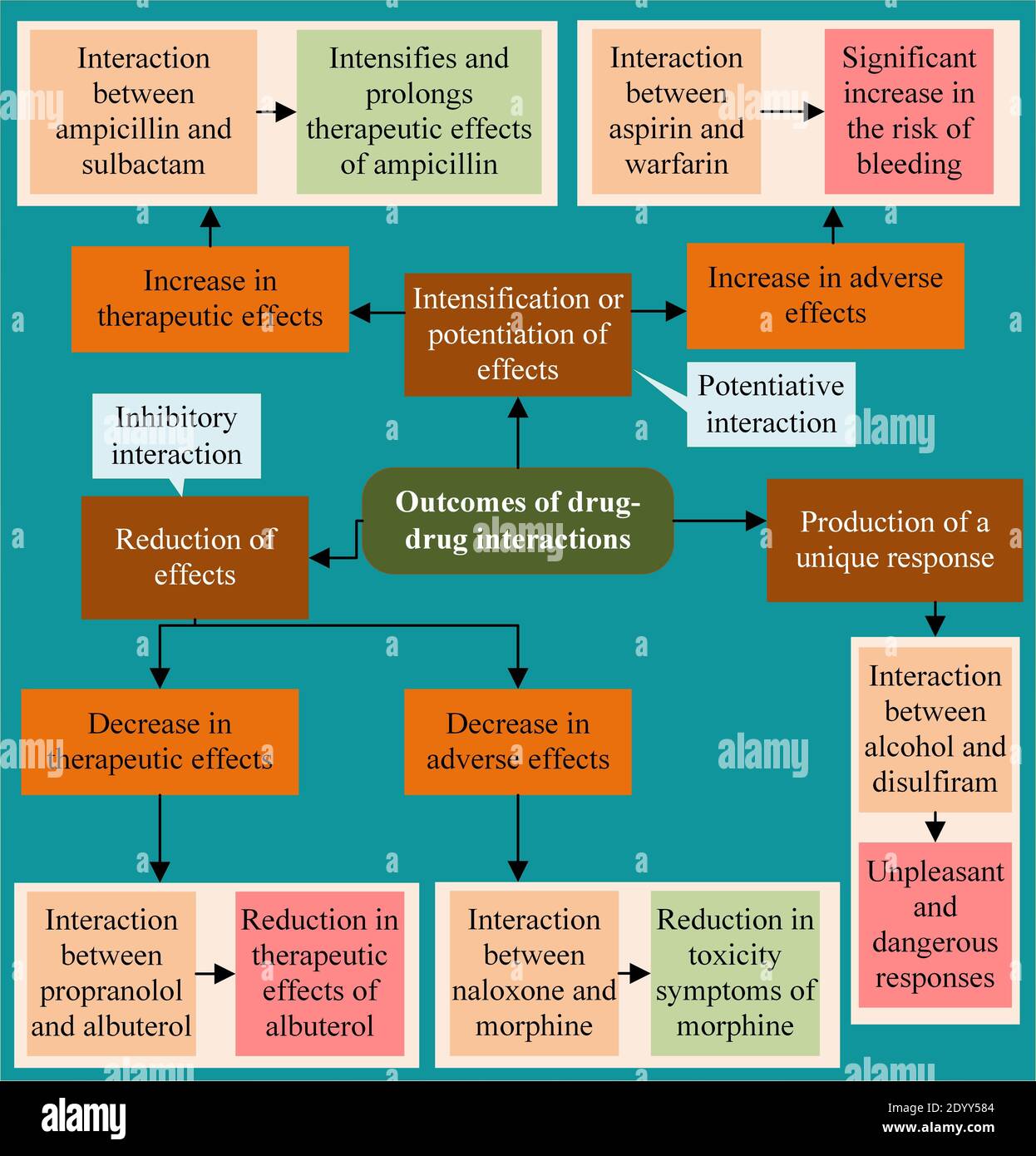 Ergebnisse von Wechselwirkungen zwischen Medikamenten Stockfoto