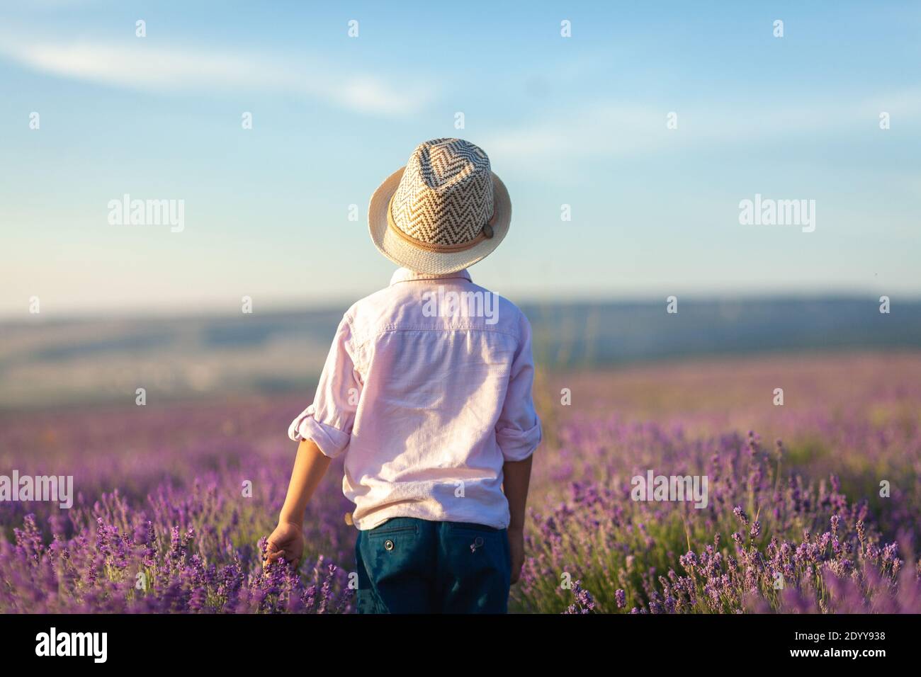 Porträt eines Landjungen in einem Hut aus dem Zurück, die in einem Lavendelfeld geht Stockfoto