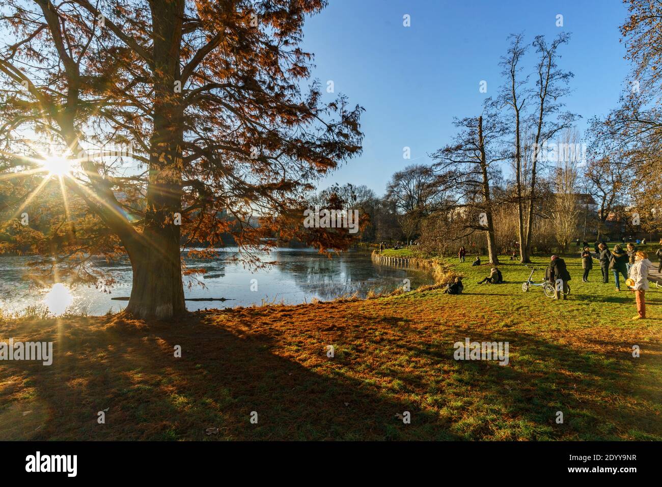 Lietzensee in Berlin-Charlottenburg im Dezember 2020 , Gegenlicht, Ufer, Baeume, Berlin, Deutschland Stockfoto