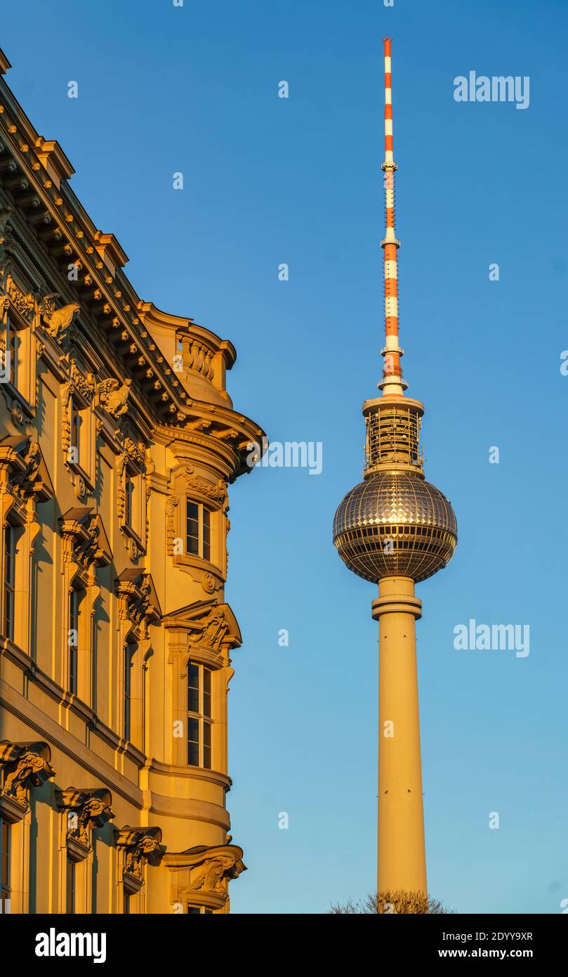 Berliner Stadtschloss, Fassade, Detail, Alex, Fernsehturm, Berlin, Deutschland, Europa, Stockfoto