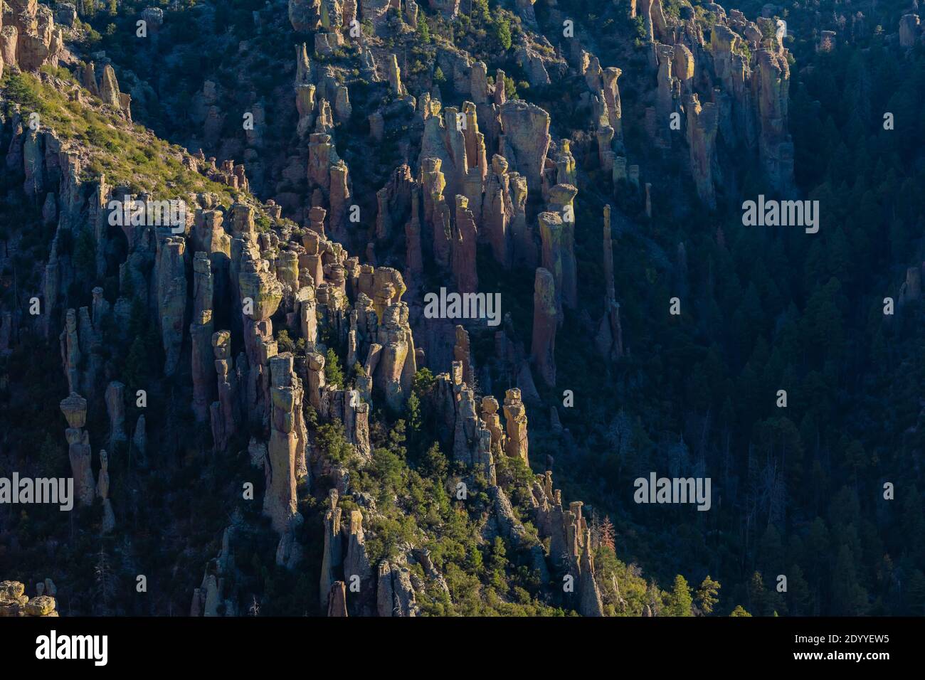 Rhyolite Pinnacles vom Massai Point Nature Trail im Chiricahua National Monument, Arizona, USA Stockfoto