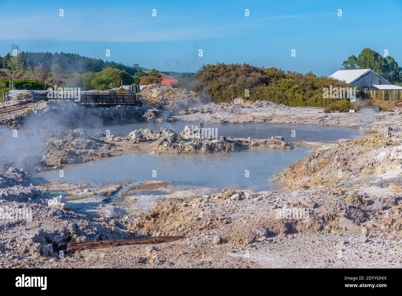 Hot Pools im Hell's Gate Geothermal Reserve in Neuseeland Stockfoto