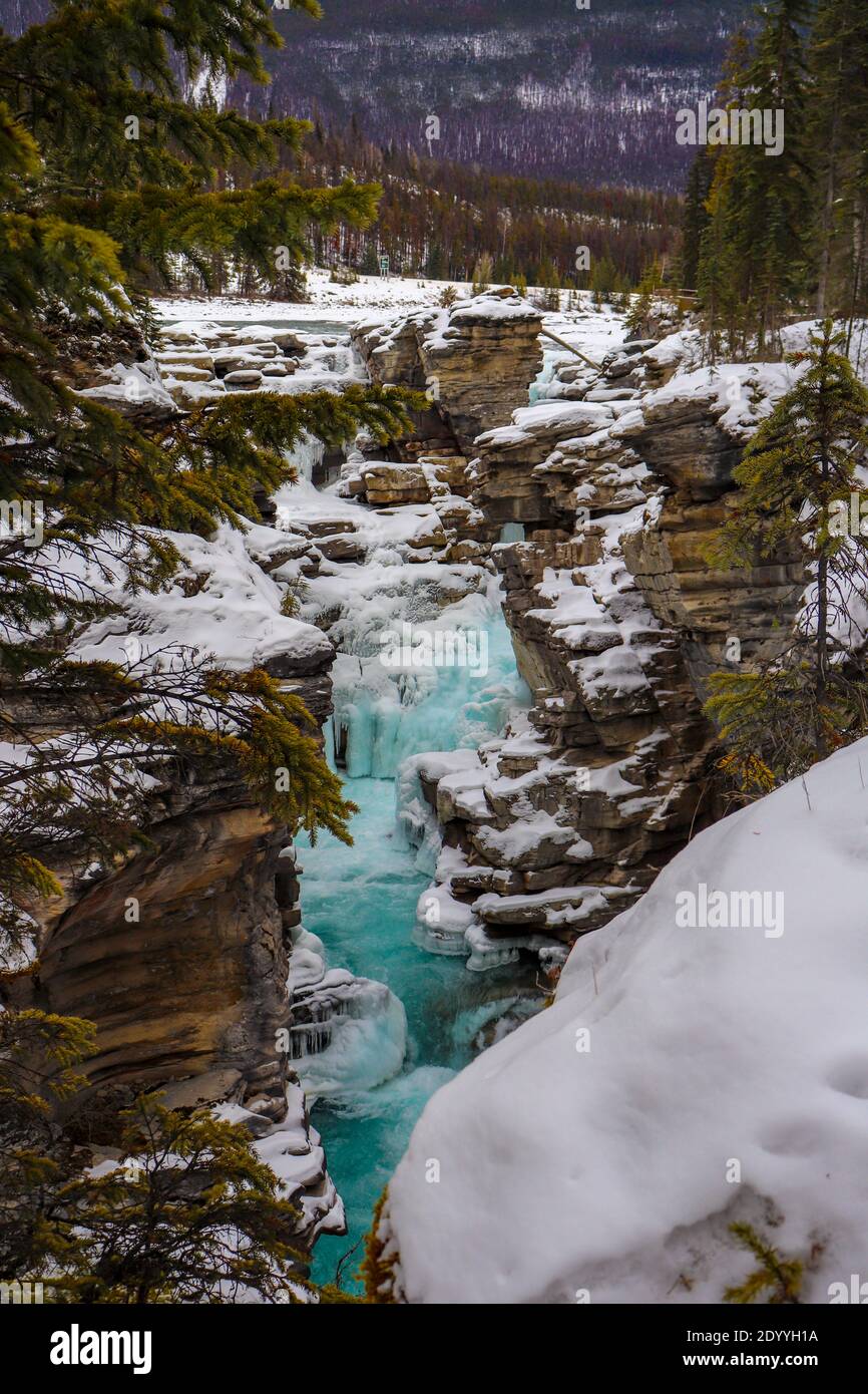 An gefrorenen Wasserfällen gibt es etwas Erstaunliches Stockfoto