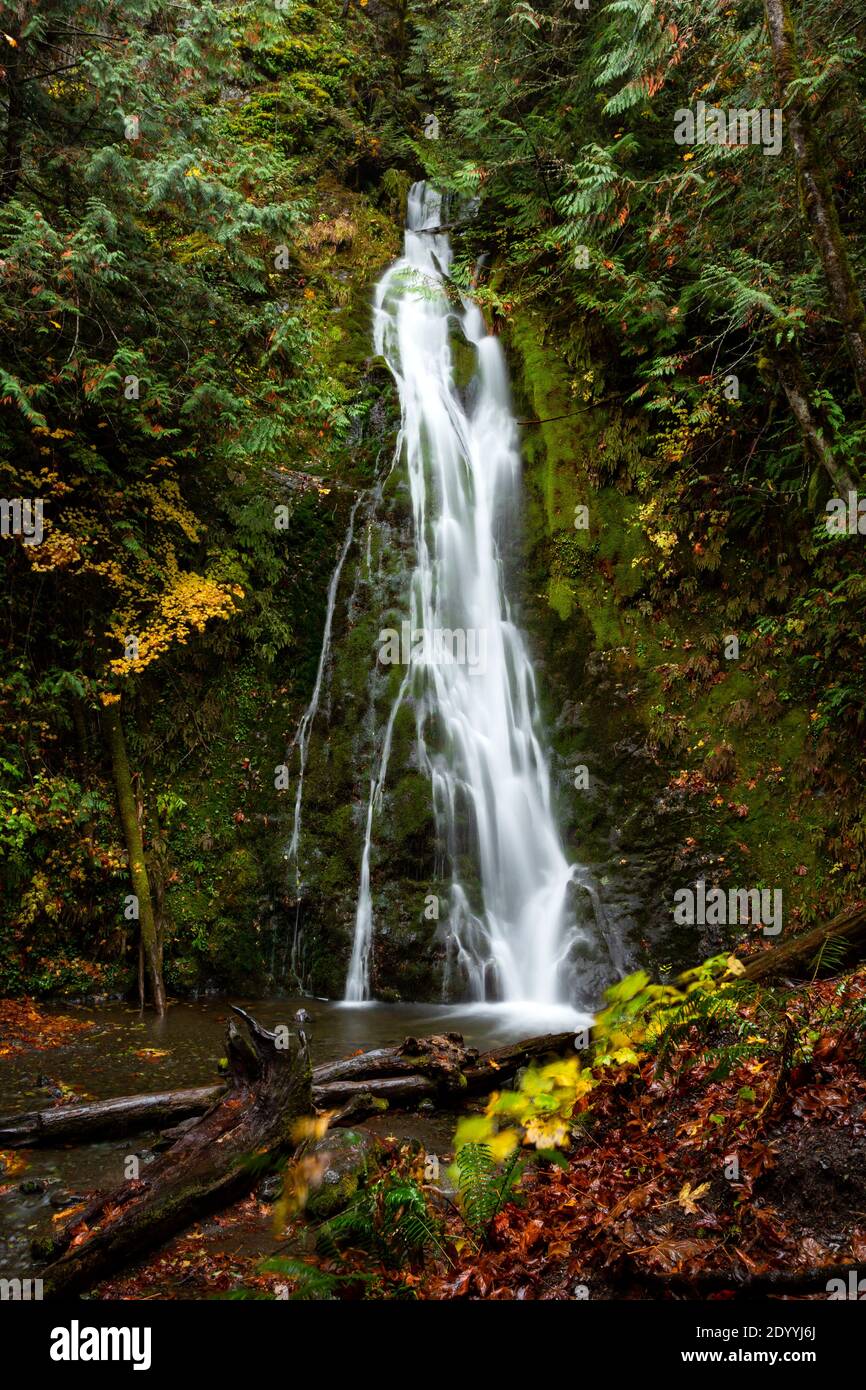 WA18900-00...WASHINGTON - Madison Falls, ein beliebtes Ziel im Elwha River Valley des Olympic National Park. Stockfoto