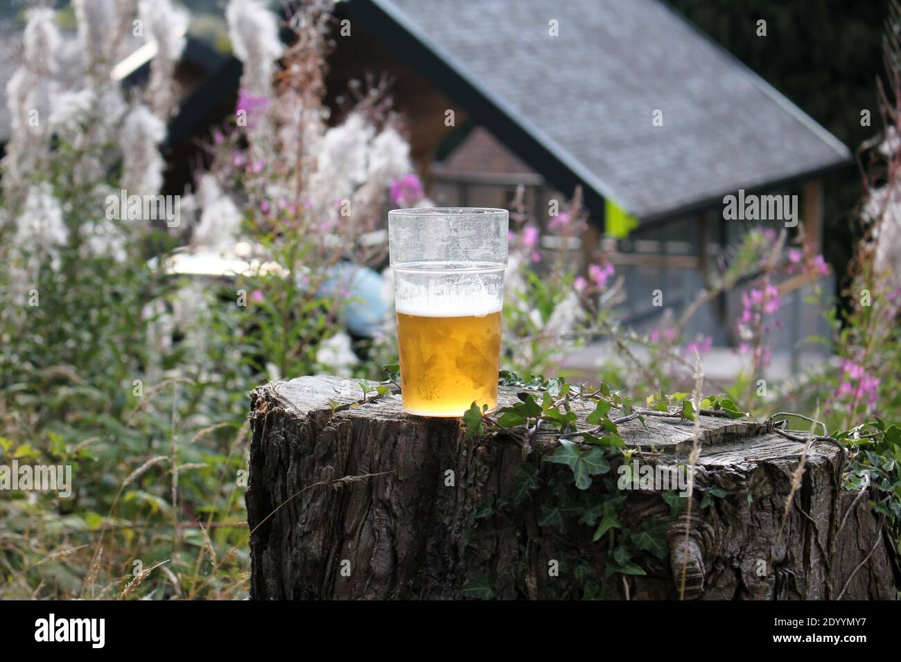Bier vom Fass in der Nähe des Wasserfalls, Alkoholgetränke Brauerei in der Natur Stockfoto