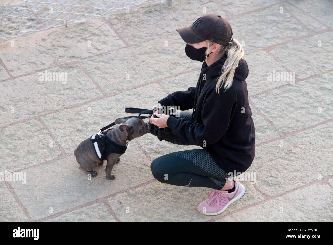 Post Covid Lockdown, Frauenmaske mit Welpenhund Spanien Stockfoto