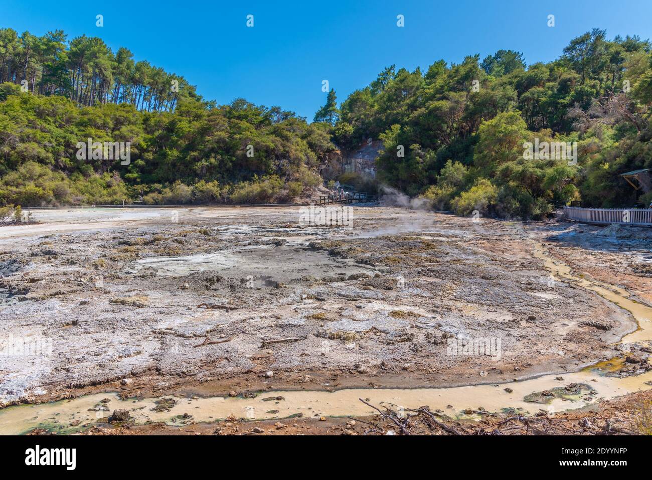 Schlammbecken in Wai-O-Tapu in Neuseeland Stockfoto