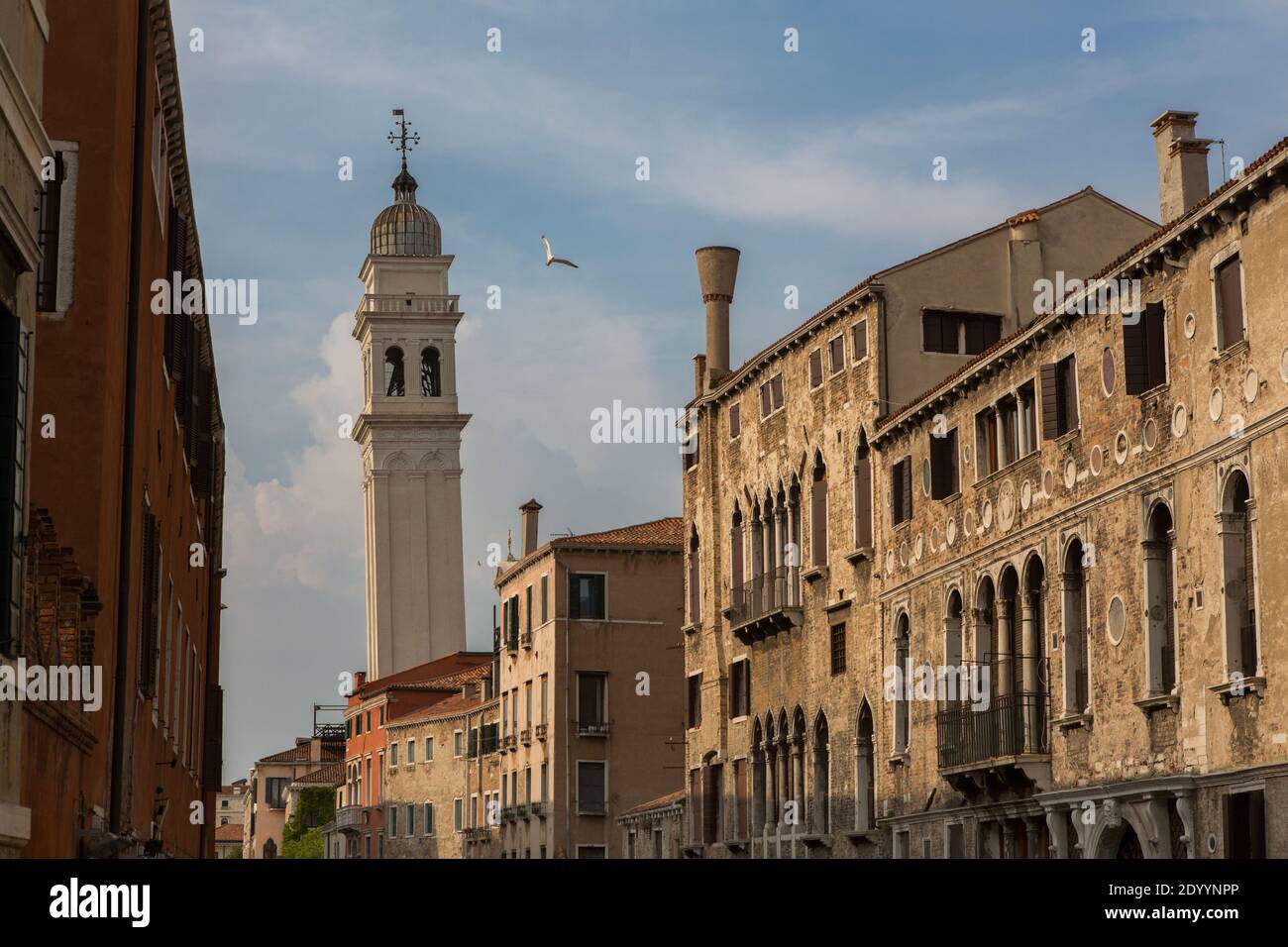 Eine Möwe fliegt am schiefen Glockenturm des Campanile von San Giorgio dei Greci vorbei, in Venedig, Italien. Dies ist einer von insgesamt 10 schiefen Türmen Stockfoto