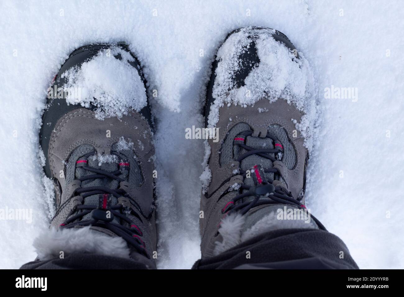 Schneestiefel voller Schnee, Zenital Flugzeug. Konzept des Wanderens im Winter. Stockfoto