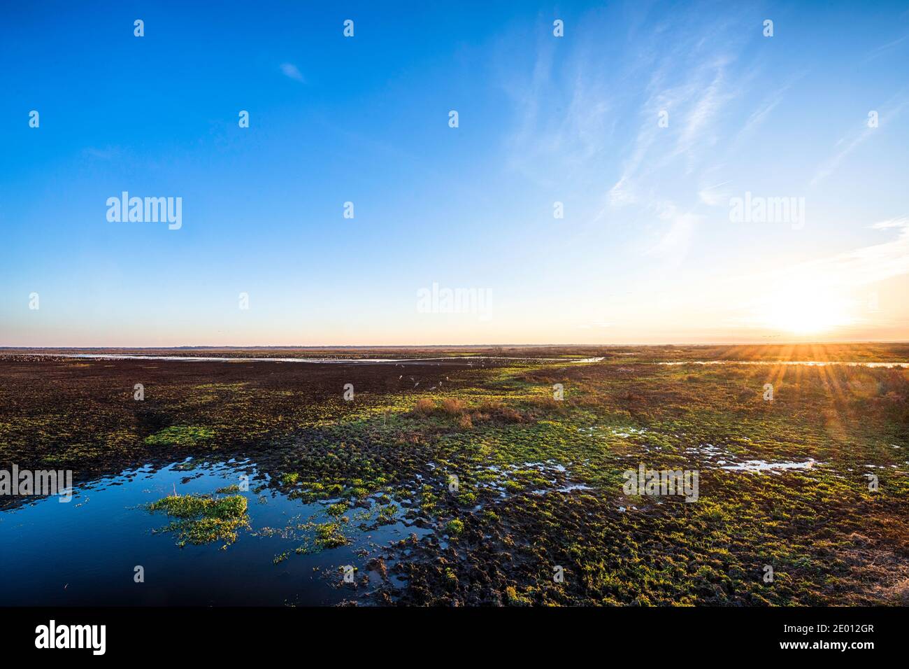Sonnenuntergang über Paynes Prairie in Gainesville, Florida Stockfoto
