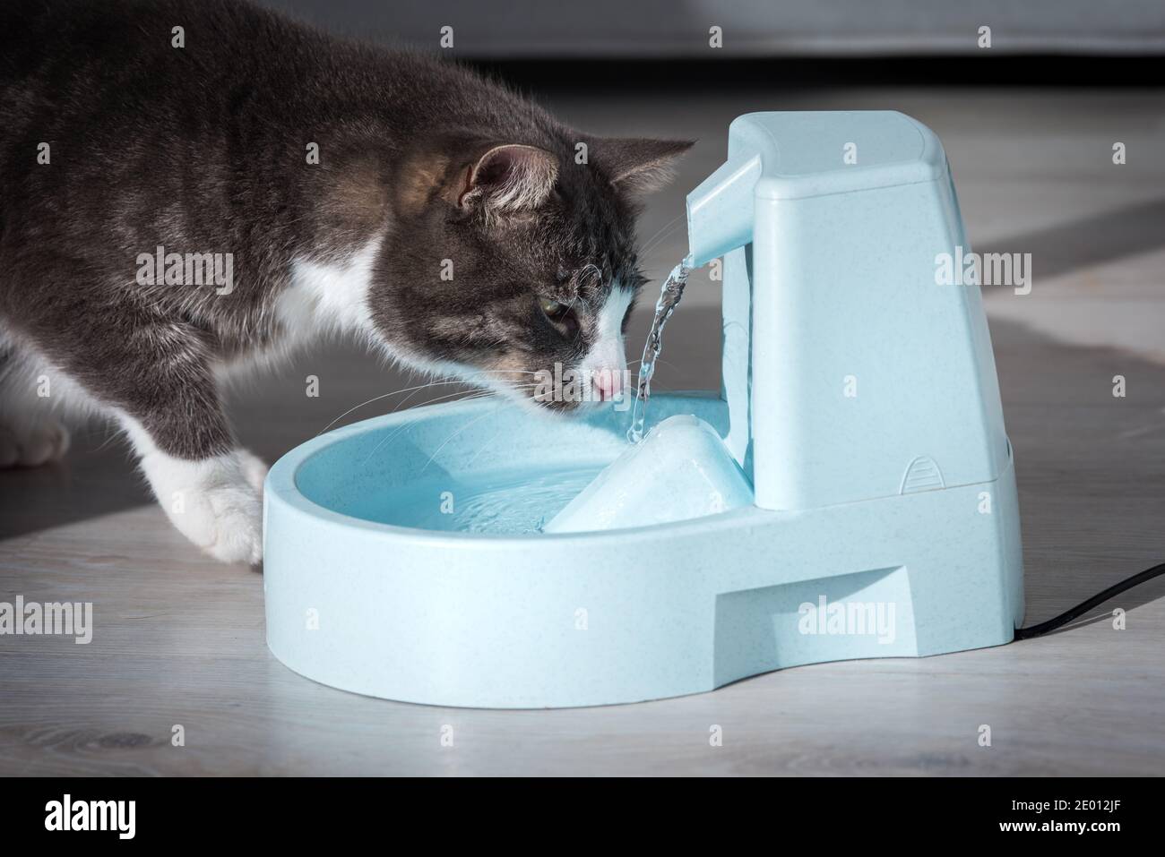 Getränke Brunnen Stockfotos und -bilder Kaufen - Alamy