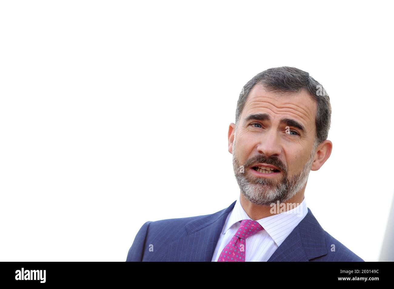 S.H. Prince Felipe besucht Grifols, ein spanisches multinationales Pharma- und Chemieunternehmen, das am 15. November 2013 in Los Angeles, CA, USA, Produkte auf Blutplasmabasis produziert. Foto von Lionel Hahn/ABACAPRESS.COM Stockfoto