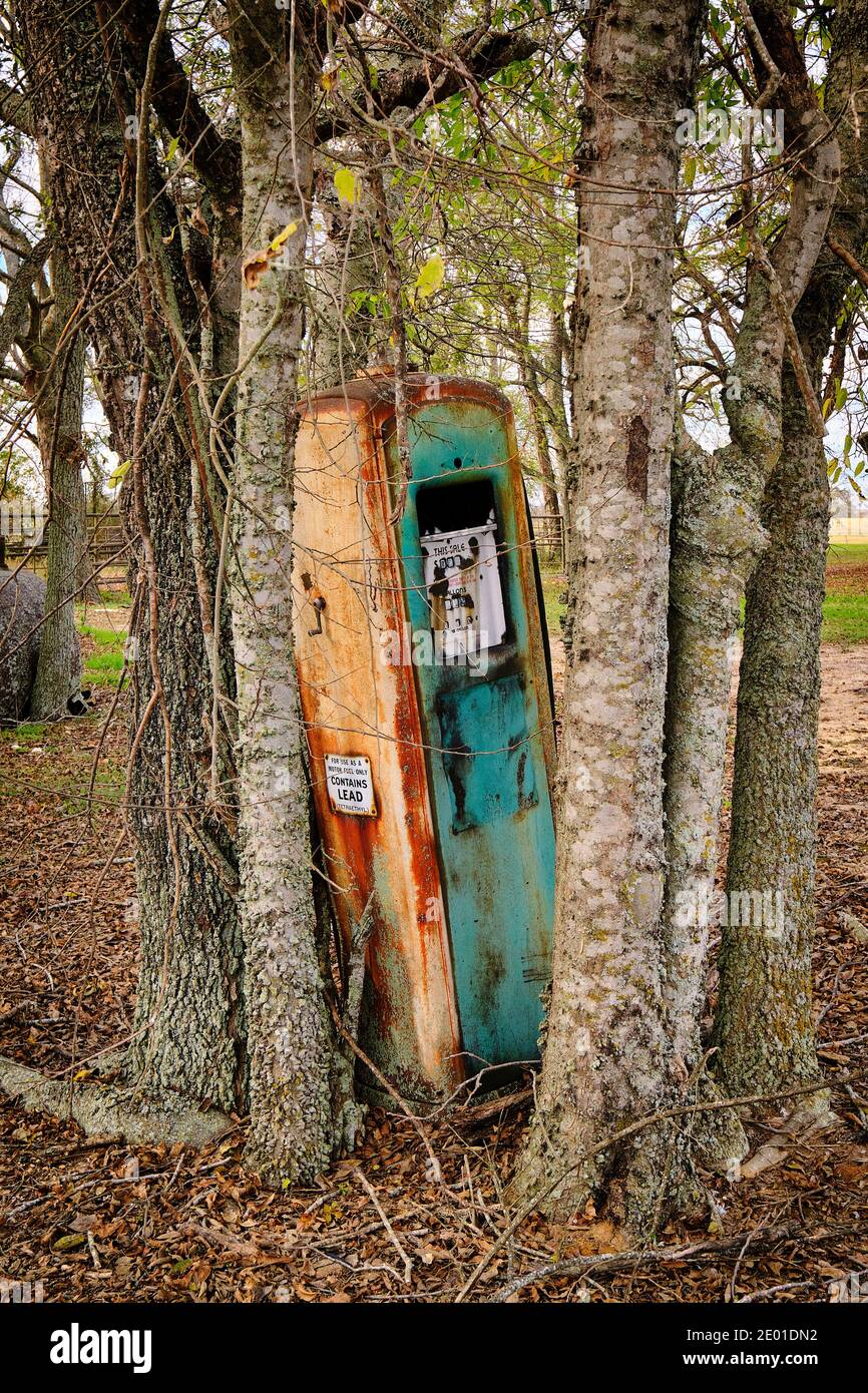 Alte Vintage oder antike Gaspumpe zwischen zwei gewachsenen Bäumen stecken. Stockfoto