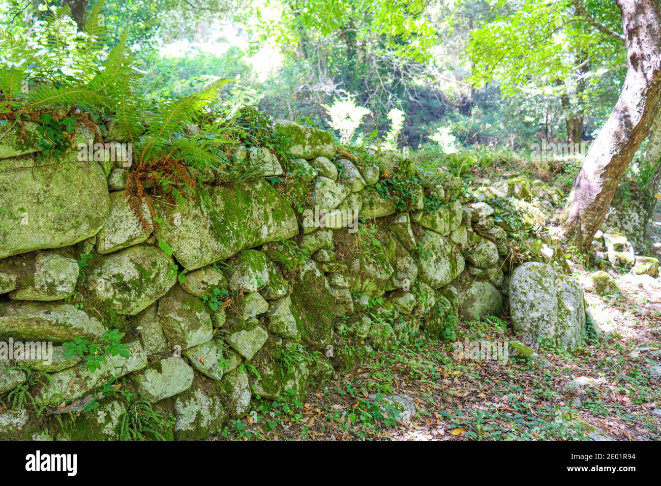 Alte Mauer aus Steinen, Ziegel und Beton. Altes Haus und Gebäude. Stockfoto