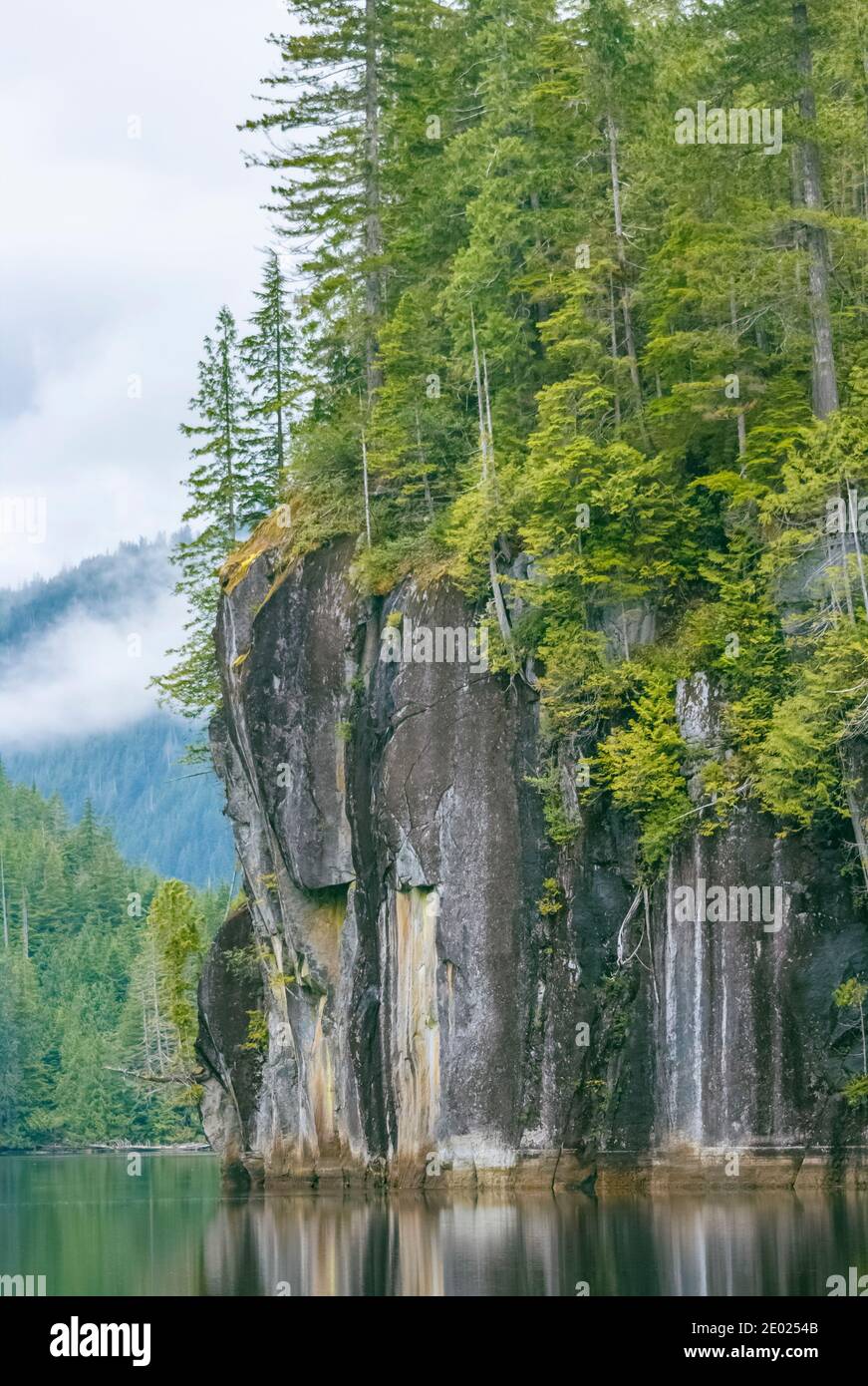 Der dichte Küstenregenwald wächst auf steilen, dunklen Granitfelsen, die sich direkt vom Wasser im abgelegenen Alison Sound, British Columbia, erheben. Stockfoto